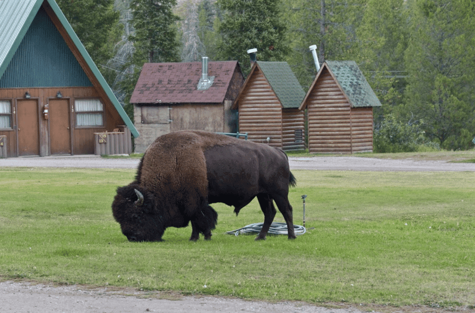 5-Day Tour to Salt Lake City with Accommodation Gallery Image 1