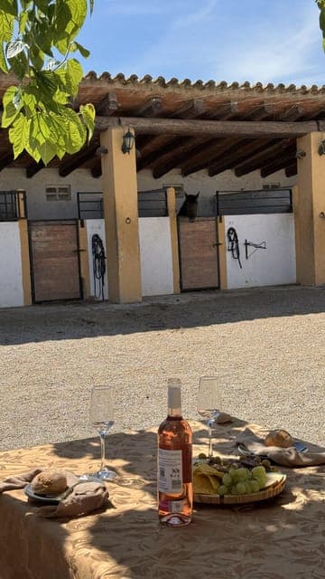 PRIVATE Horseback Ride + Tapas + Picnic Gallery Image 3