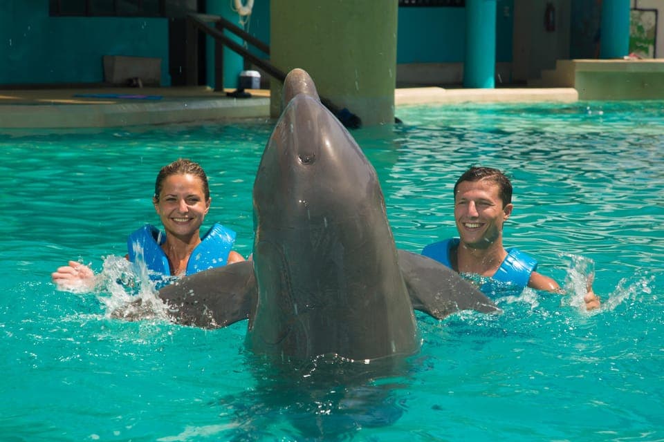 Cancun: Interactive Aquarium Ticket and Swim with Dolphins Gallery Image 3