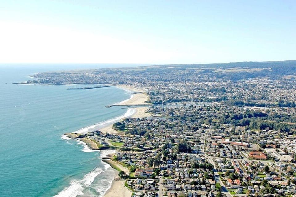 Redwood Forest & Santa Cruz Harbor 1-Day Trip Gallery Image 3