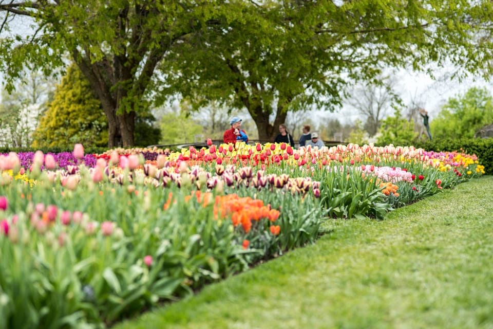 Private Brandywine and Longwood Gardens Driving Tour Gallery Image 2