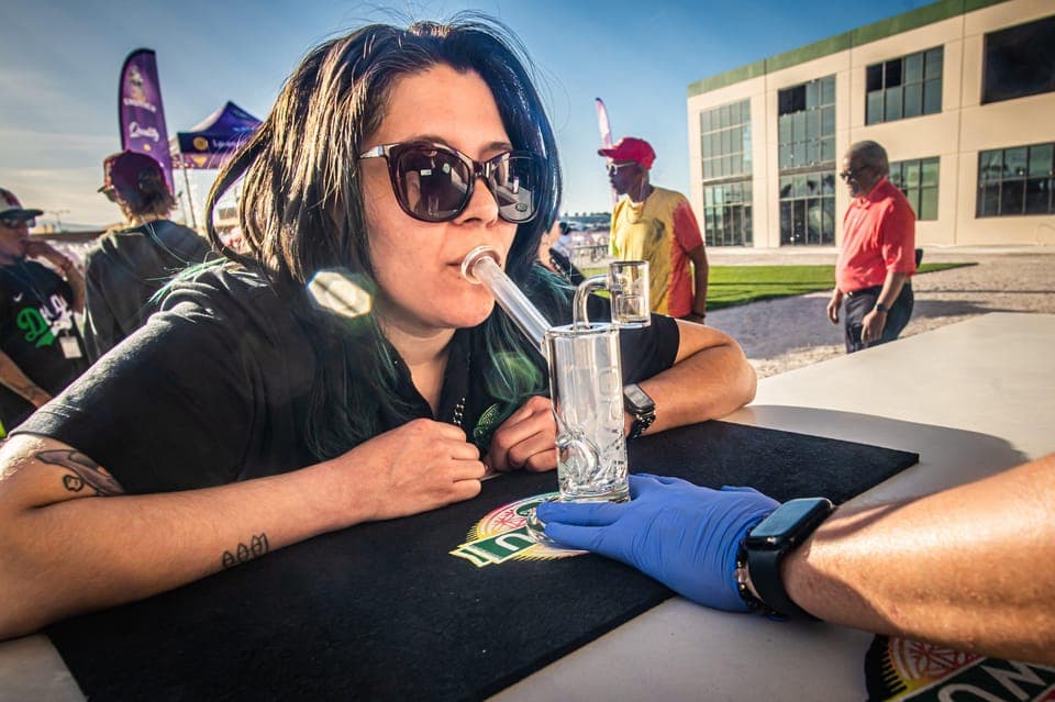 Cannabis Tour with Weed Lounge & Party Bus Gallery Image 2