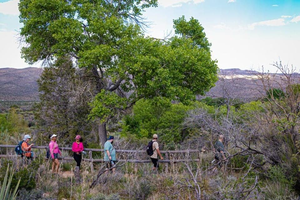 Spring Mountain Ranch Hike & Happy Hour Gallery Image 4