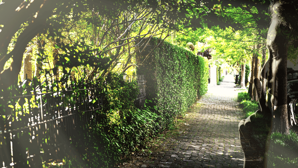 Gossip & Grandeur: A Stroll Through NOLAs Garden District Gallery Image 2