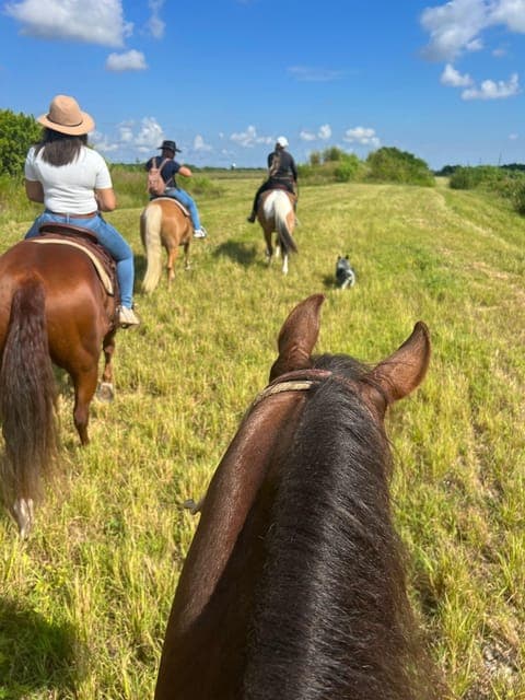 Guided Horseback Riding Tour Gallery Image 4