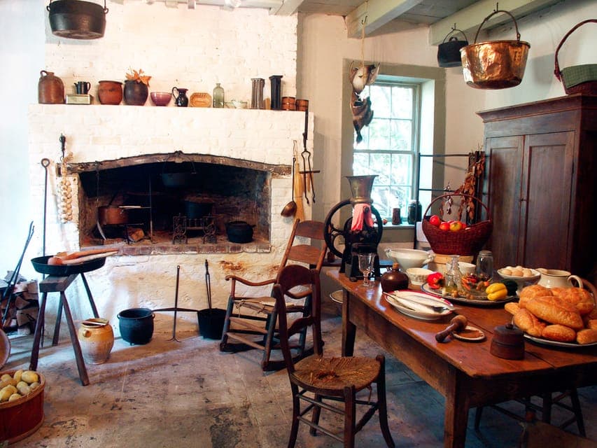 Single Plantation and Pontoon Swamp Day Trip Gallery Image 3