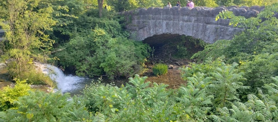 Private Guided Tour with Trolley Ride Gallery Image 3