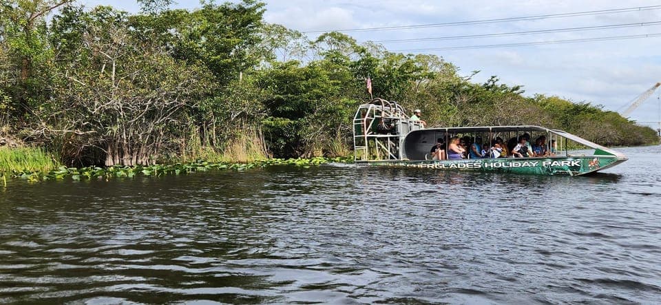 Everglades Airboat, Gator Encounter & Bus Transfer Gallery Image 4