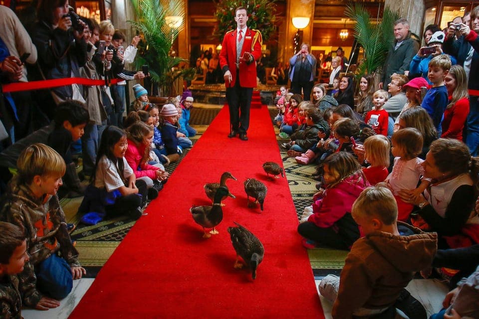 City Tour with Optional Sun Studios & Riverboat Gallery Image 2