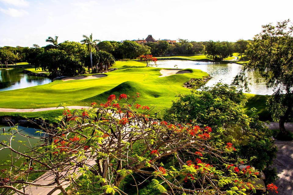 Play Iberostar Cancun Golf Course W/Clubs Gallery Image 2