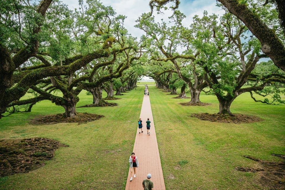 Oak Alley Plantation and Swamp Cruise Day Trip Gallery Image 2
