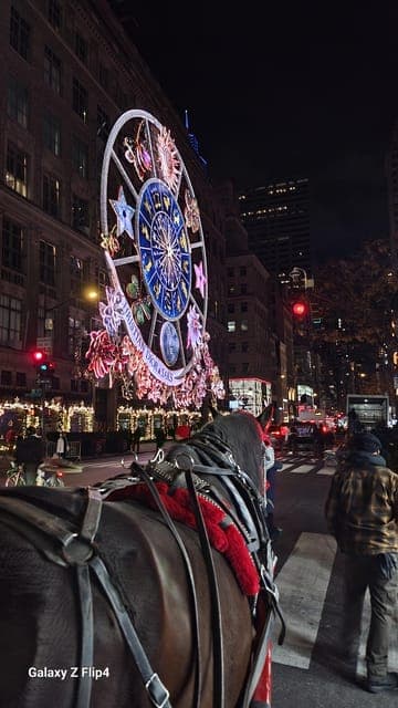 Christmas Lights Horse Carriage Ride Gallery Image 4