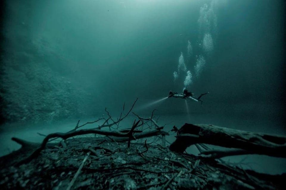 From Cancun: The Pit and Dos Ojos Cenote Diving Experience Gallery Image 3