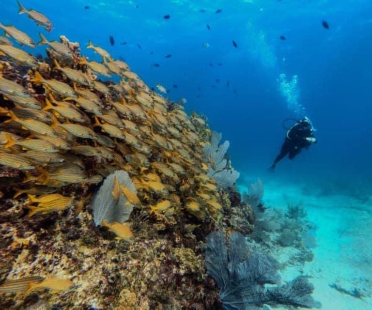 Cancun: PADI Open Water Diver Course Gallery Image 4