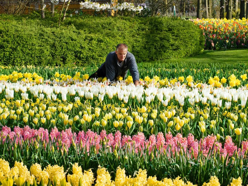 Keukenhof Entry & Shuttlebus with Flexible Return Gallery Image 3