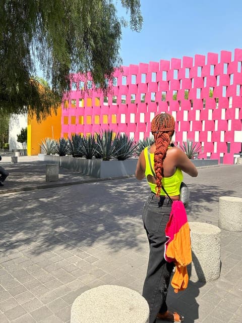 1960s &1970s Mexican Architecture Walking Tour Gallery Image 3