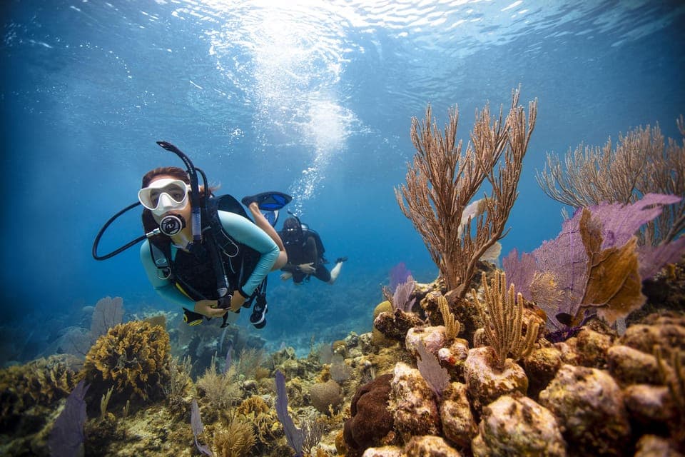 SCUBA DIVING INITIATION - Dive in and experience underwater adventures - 2 hours - Image 2