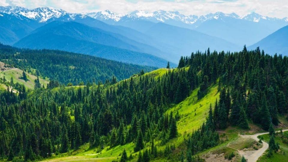 Small Group: Olympic National Park Day Tour From Seattle - Image 2