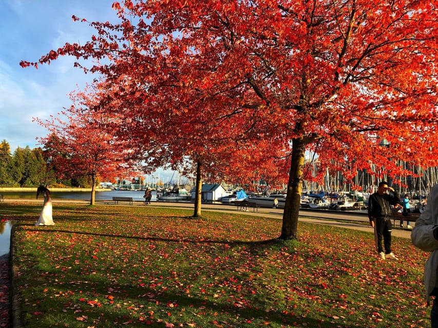 5 Days of Adventure in Vancouver – Activities-Only Tour Gallery Image 4