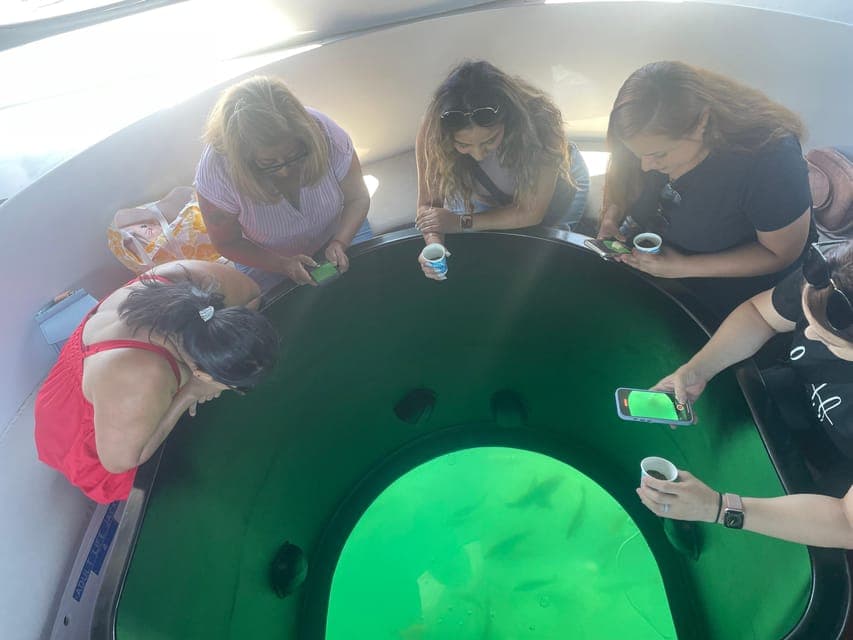 Long Beach: Glass Bottom Boat Harbor Ecotour Gallery Image 2