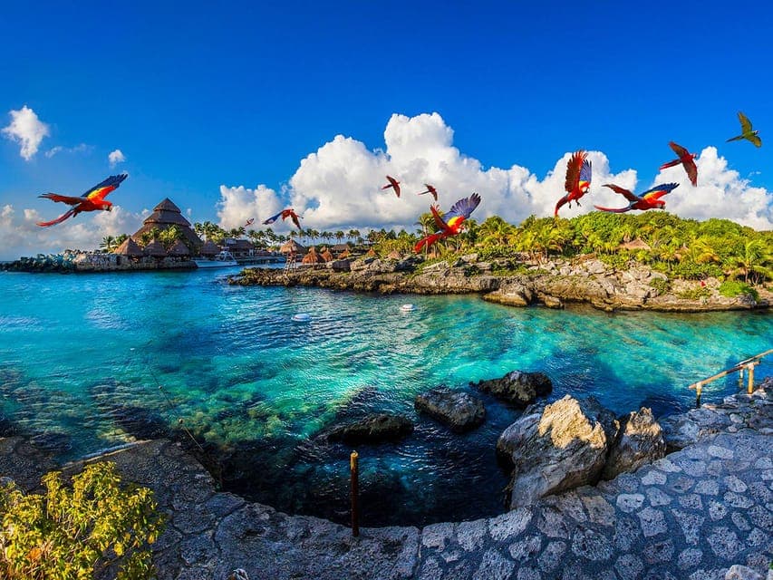 From Playa del Carmen: Xcaret Plus Park, the complete experience Gallery Image 1