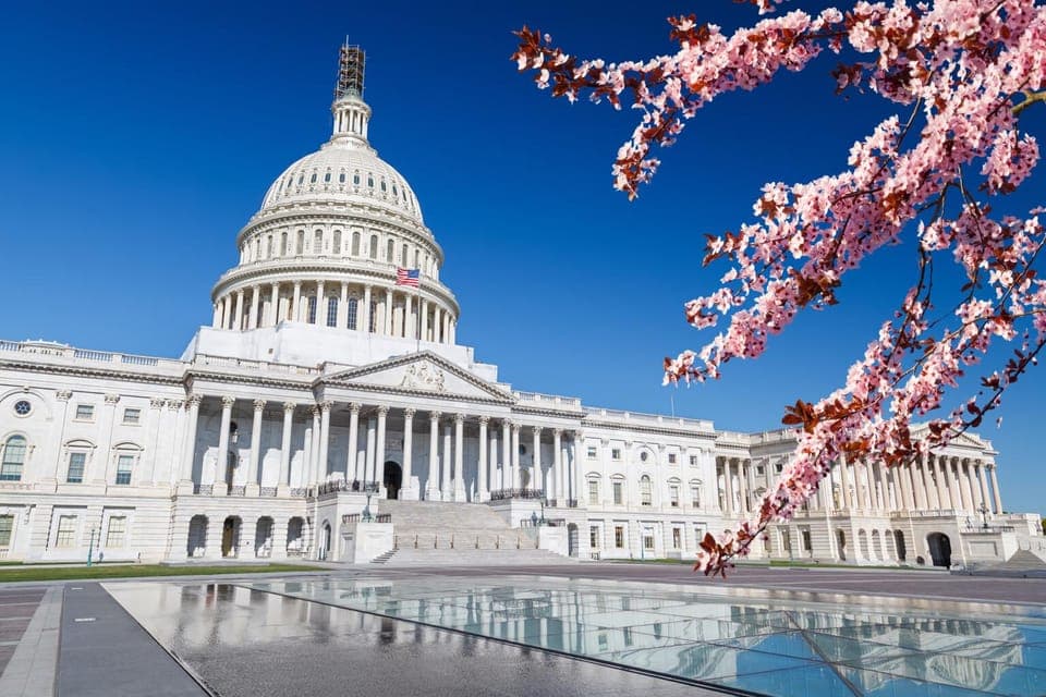 Full Day Washington DC & Mount Vernon Tour Gallery Image 1