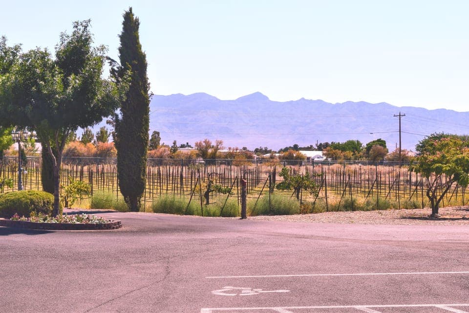 Las Vegas / Pahrump Wine Tasting Tour and snacks Gallery Image 2