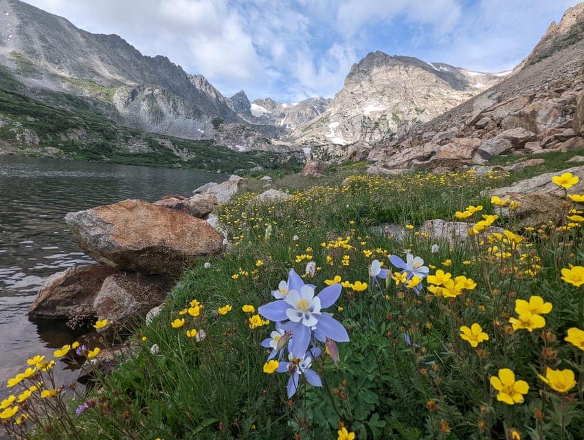 26. Private Rocky Mountain National Park Wildlife Tour - Image 26