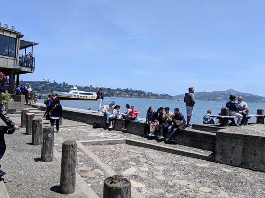 Muir Woods, Sausalito, and Tiburon Day Trip Gallery Image 4