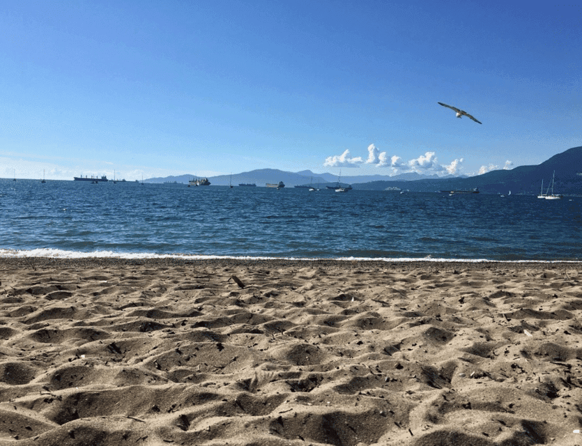 7. Vancouver Beaches Private Guided Tour - Sea to City - Image 7