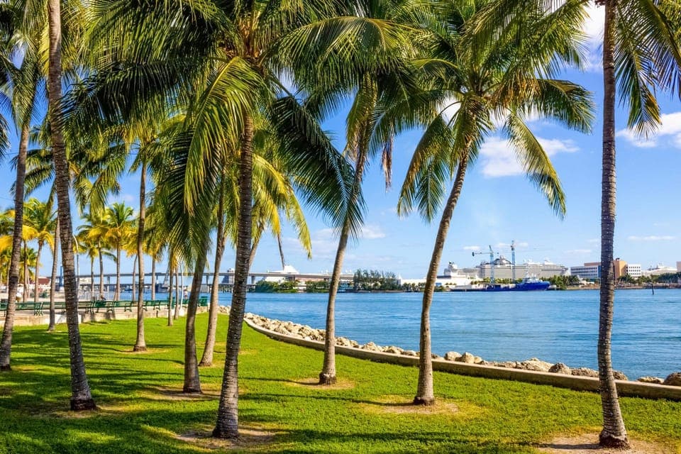 Shore Excursion from Port of Miami: City and Cruise Tour Gallery Image 4