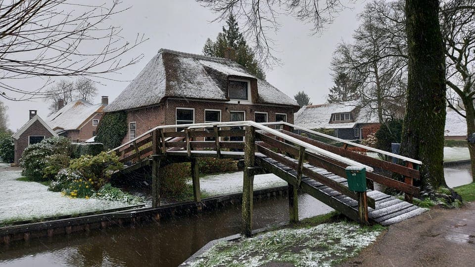 Giethoorn Small Group Tour with Boat Ride Gallery Image 3