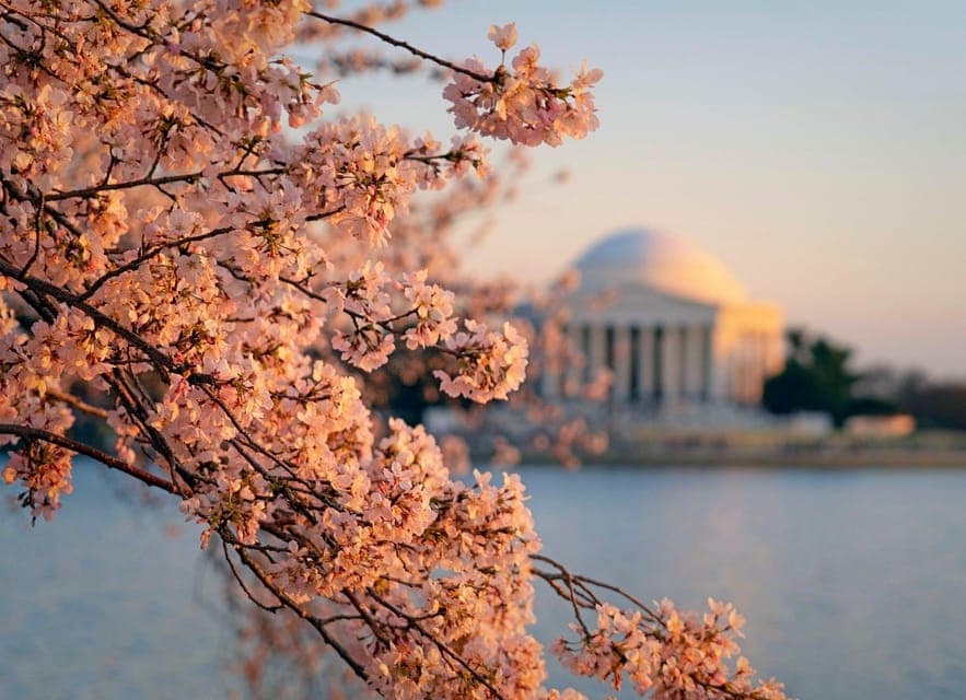 From Boston: 4-Day Tour to New York, D.C.&Niagara Falls Gallery Image 1