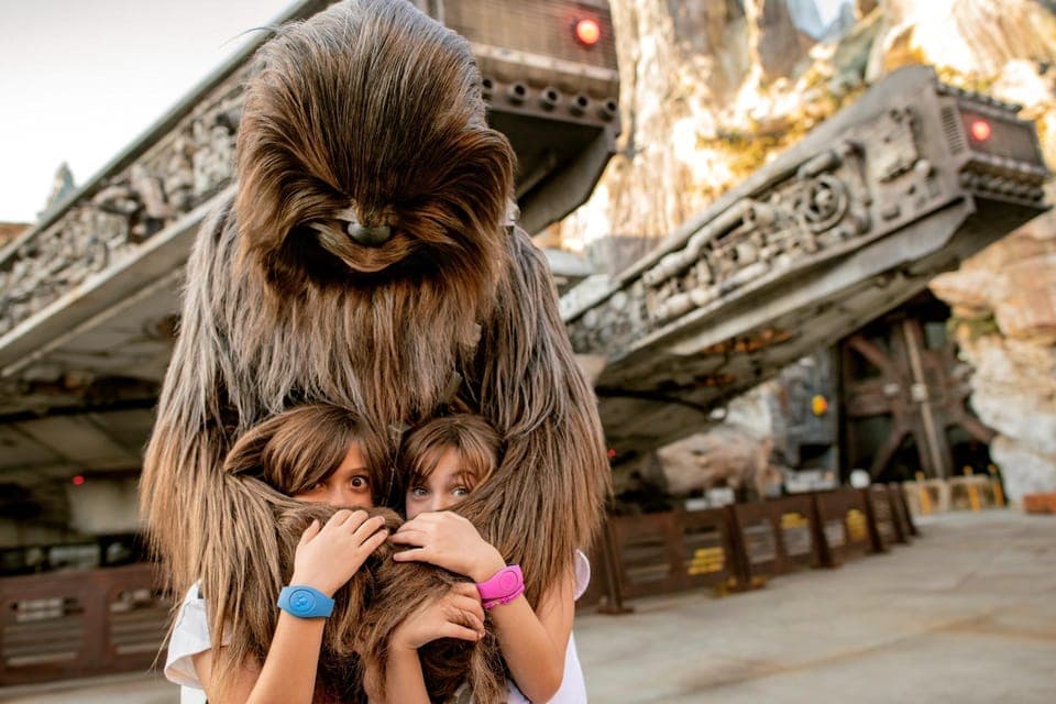 Walt Disney World Tickets with Water Park & Sports Gallery Image 3