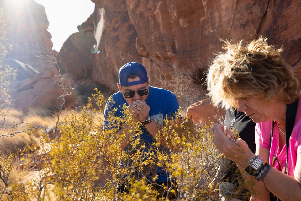 Valley of Fire and Red Rock Canyon Day Trip Gallery Image 3