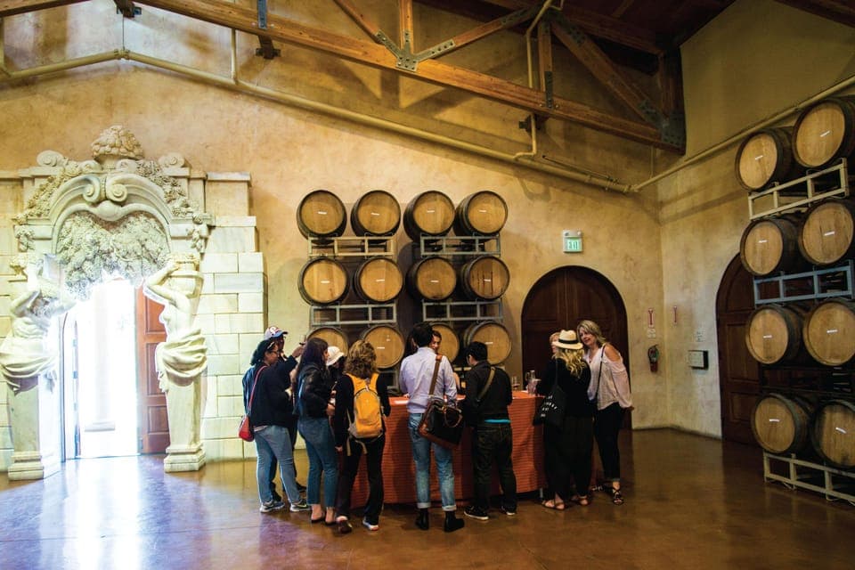 Half Day Wine Tour & Hop-On Hop-Off City Tour Gallery Image 4