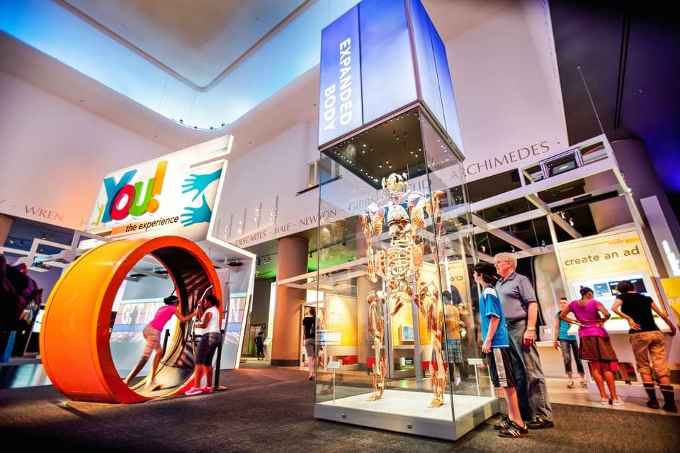 Chicago CityPASS®: Save up to 49% at 5 Top Attractions Gallery Image 3