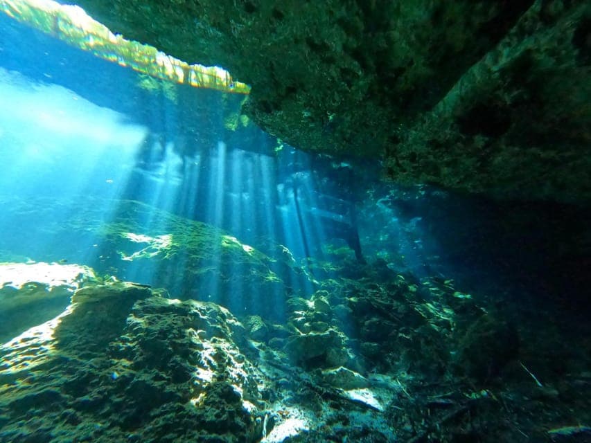 Cancun 2 Cenote Dives: The Pit + Nicte Ha - Certified Divers Gallery Image 3