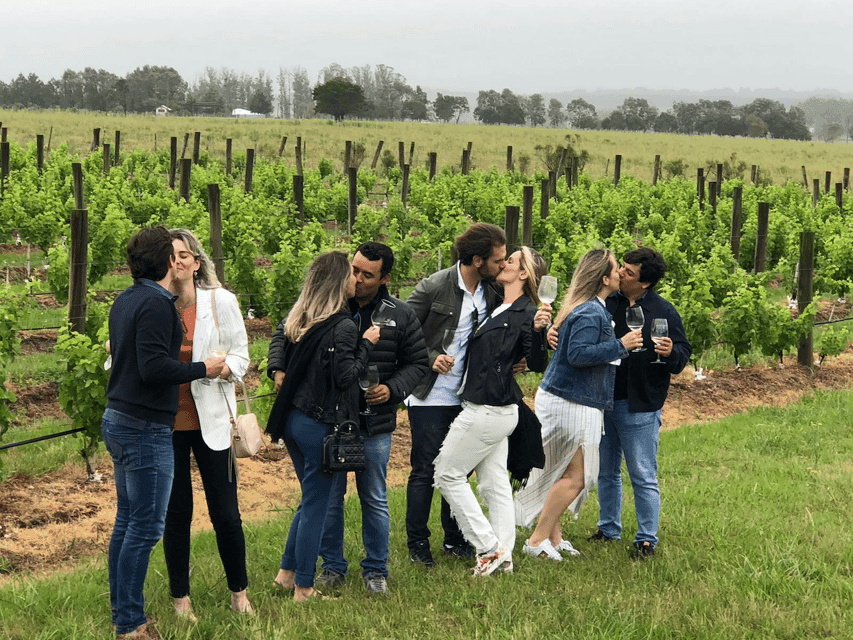 Napa Valley Half-Day Wine Tour with Tastings - Image 2