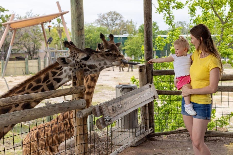 ZooTampa at Lowry Park Ticket with After Hours Option Gallery Image 3