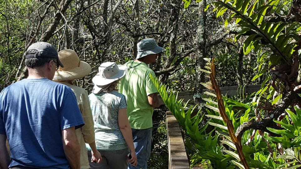 Everglades Tour w/90 minute boat trip & 3 Hikes! Gallery Image 4