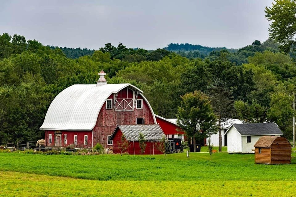 Amish Farm and House 1-Day Tour From Washington D.C. Gallery Image 3