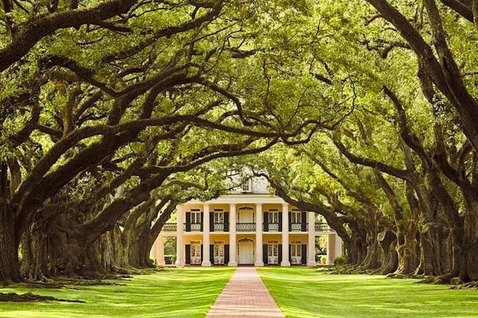 43. Oak Alley or Laura Plantation Tour - Image 43