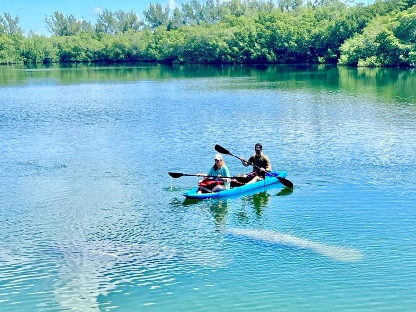 Manatee Season Paddleboard or Kayak Tour Gallery Image 3