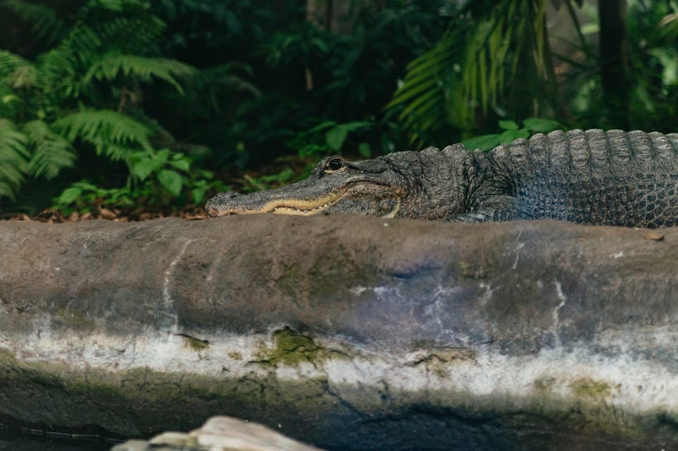 The Florida Aquarium Ticket Gallery Image 3