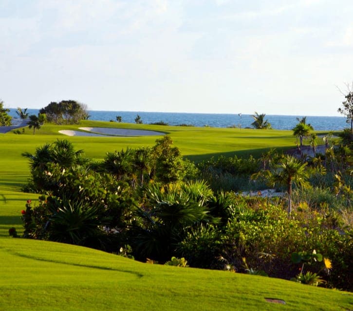 Playa Mujeres Golf Course Gallery Image 4