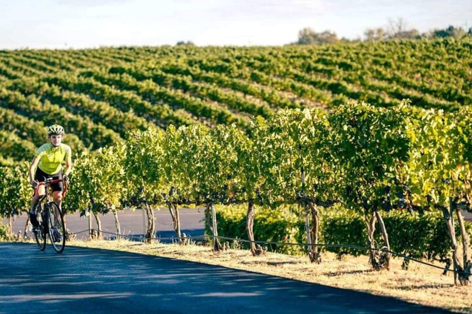 From Seattle - Wine Tasting, Vineyards in Eastern WA Gallery Image 2