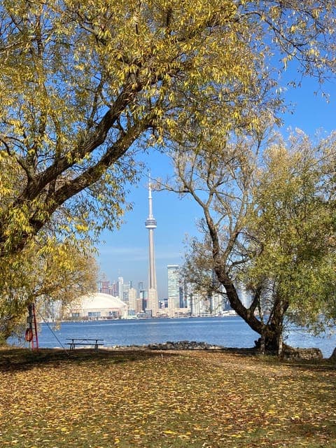 Fall Colours Canoe Tour of the Toronto Islands Gallery Image 3
