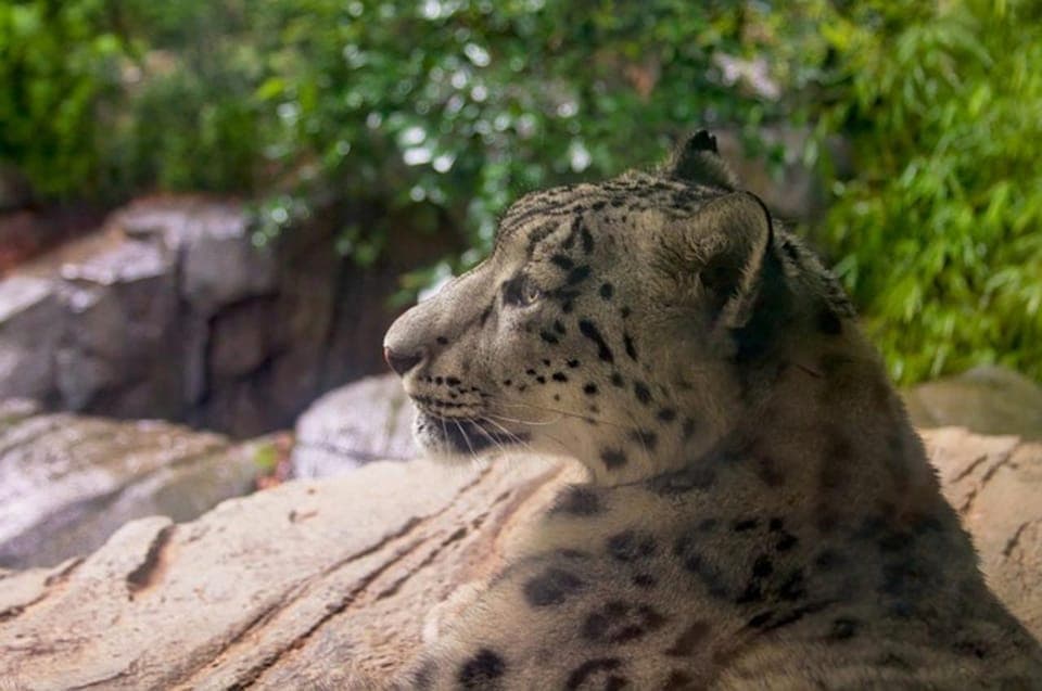 Central Park Zoo Entry Ticket & Manhattan Walking Tour Gallery Image 3