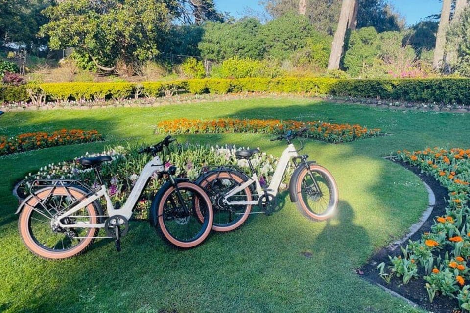 Summer of Love Guided eBike Tour Gallery Image 2